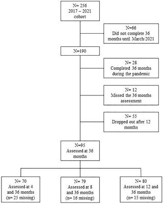 Motor development in the first year of life predicts impairments in cognition and language at 3 years old in a Brazilian preterm cohort of low-income families